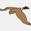 camlady.org