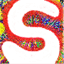 spiropaint.com