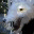 giantpuppetssavetheworld.com