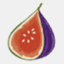 theroastedfig.com