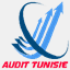 audit-tunisie.com