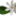 tasteoftahiti.org