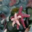 beaytedy.over-blog.es