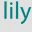 lilybuilds.com