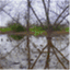 riverpath.wordpress.com