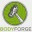 bodyforge.net