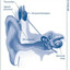 cochlearimplantshearing.com