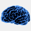 mindful-mind.net