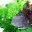 basilcafe.wordpress.com