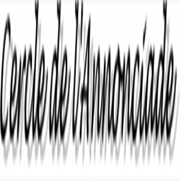 cercledelannonciade.org