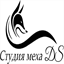 dsfurs.com