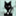 tillthecat.com