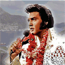 elvisfestival.no