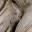 ghosthare22.wordpress.com