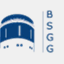 bsgg.net