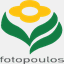 dfotopoulos.com