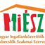 mifyapi.com