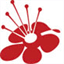 beenet-solutions.com