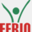 feriokonin.pl