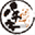 pachiki.com