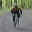 bikesbugsandbones.wordpress.com