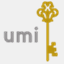 umi-lsm.com