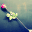 meeladfajr.wordpress.com
