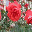 naturose.over-blog.com
