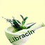 libracin.com