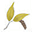 grindstonecreeknursery.com