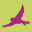 geckorieren.ch