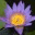 pathonlife.wordpress.com