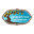 gracetreestudio.com