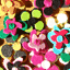 pinecrestpiranhas.weebly.com