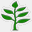 argonnotes.org