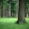 influenceworks.wordpress.com