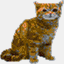soxkat.net