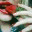 aninablog.wordpress.com