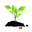 tasagronomyplus.com