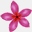 deethukwan.com