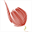 caferaimann.at