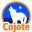 cojote-outdoor.com