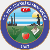 karadenizeregli.gov.tr