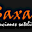 saxaasatelitales.com