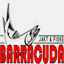 barracuda.nu