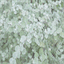 montecitolandscape.com