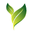 kinesysconsulting.com