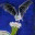 batcactus.wordpress.com