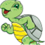 thetortoisechronicles.com