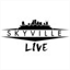 skyvillelive.com
